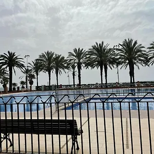 Palmeras , Algarrobo Costa España
